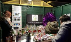 Marche De Noel   033